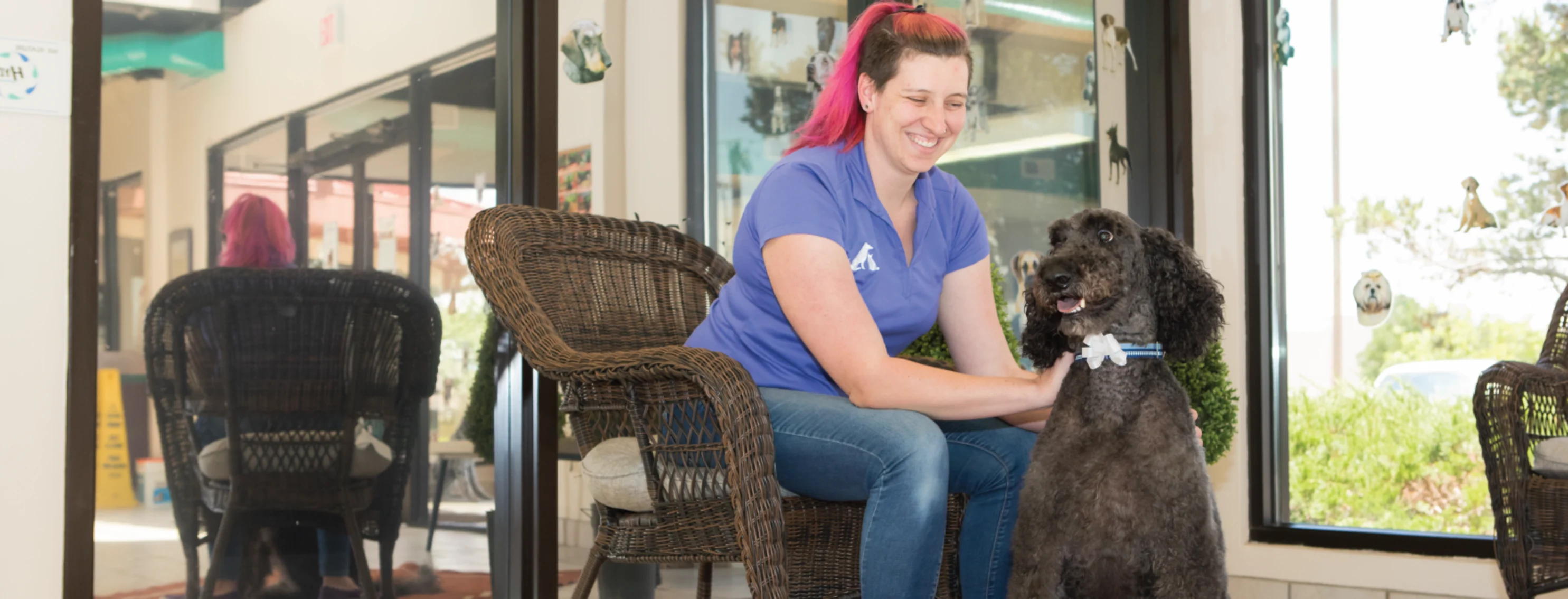 Employee with dog on chair at Canine Country Club & Feline Inn - Westside 